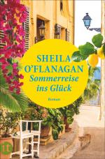 Cover-Bild Sommerreise ins Glück