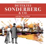 Cover-Bild Sonderberg & Co. und der Tote im Rhein