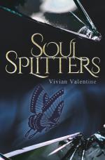 Cover-Bild Soulsplitters