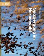 Cover-Bild Spaziergang im Herbstwald