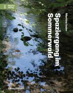 Cover-Bild Spaziergang im Sommerwald