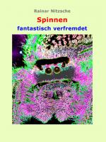 Cover-Bild Spinnen fantastisch verfremdet