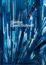 Cover-Bild Splitter. David Schnell