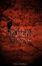 Cover-Bild Spring - Projekt I