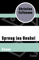 Cover-Bild Sprung ins Dunkel