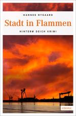 Cover-Bild Stadt in Flammen