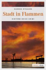 Cover-Bild Stadt in Flammen