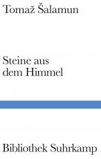 Cover-Bild Steine aus dem Himmel