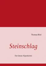 Cover-Bild Steinschlag