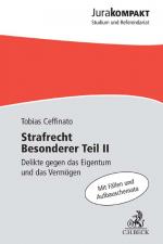 Cover-Bild Strafrecht BT/2