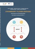 Cover-Bild Strommarkt - Flexibilisierung