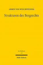 Cover-Bild Strukturen des Bergrechts