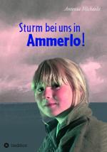 Cover-Bild Sturm bei uns in Ammerlo!