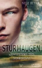 Cover-Bild Sturmaugen