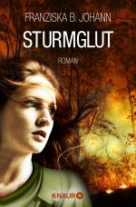 Cover-Bild Sturmglut