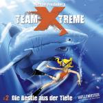 Cover-Bild Team X-treme - Folge 2