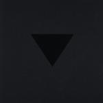 Cover-Bild The Black Triangle