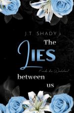 Cover-Bild The lies between us