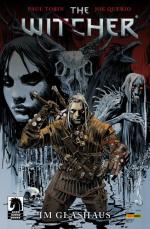 Cover-Bild The Witcher