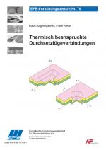 Cover-Bild Thermisch beanspruchte Durchsetzfügeverbindungen