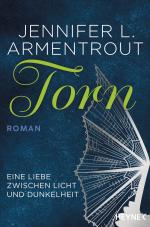 Cover-Bild Torn - Eine Liebe zwischen Licht und Dunkelheit