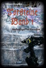 Cover-Bild Torsteine Band 1