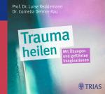 Cover-Bild Trauma heilen (Hörbuch)
