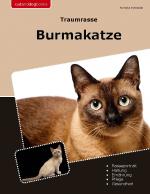 Cover-Bild Traumrasse Burmakatze