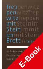Cover-Bild Treppenwitz mit Stein im Brett
