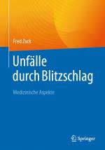 Cover-Bild Unfälle durch Blitzschlag