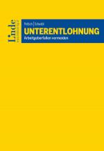 Cover-Bild Unterentlohnung