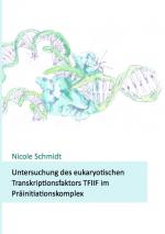 Cover-Bild Untersuchung des eukaryotischen Transkriptionsfaktors TFIIF im Präinitiationskomplex