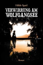 Cover-Bild Verwirrung am Wolfgangsee