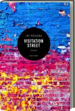 Cover-Bild Visitation Street