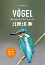 Cover-Bild Vögel der mecklenburgischen Elbregion