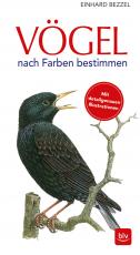 Cover-Bild Vögel nach Farben bestimmen