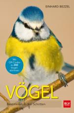 Cover-Bild Vögel