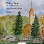 Cover-Bild Waldheim Top 25