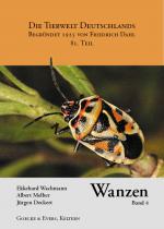 Cover-Bild Wanzen, Band 4. Pentatomomorpha II.