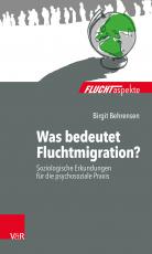 Cover-Bild Was bedeutet Fluchtmigration?