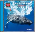 Cover-Bild WAS IST WAS Hörspiel: Wale & Delfine/ Geheimnisse der Tiefsee