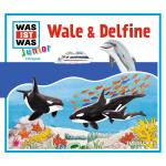 Cover-Bild WAS IST WAS Junior Hörspiel. Wale und Delfine