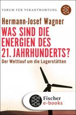 Cover-Bild Was sind die Energien des 21. Jahrhunderts?