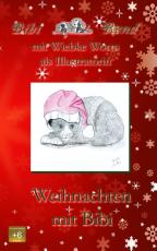 Cover-Bild Weihnachten mit Bibi