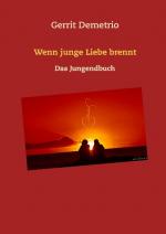 Cover-Bild Wenn junge Liebe brennt