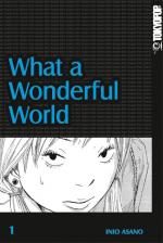 Cover-Bild What a Wonderful World 01