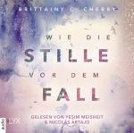 Cover-Bild Wie die Stille vor dem Fall. Erstes Buch