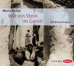 Cover-Bild Wie ein Stein im Geröll (2 CDs)