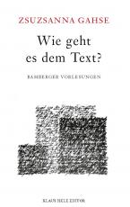 Cover-Bild Wie geht es dem Text?