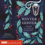 Cover-Bild Wintergeister